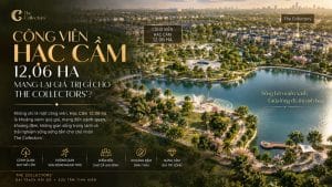 Công Viên Hạc Cầm 12,06 Ha Mang Lại Giá Trị Gì Cho The Collectors'?